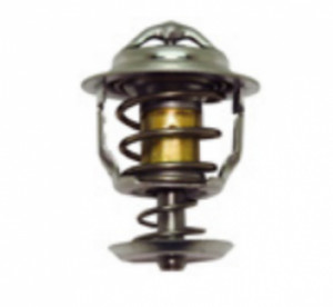 Termostat pentru nacela Manitou