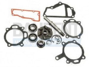 Kit reparatie pompa apa JCB