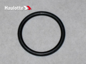 Garnitura motor Haulotte
