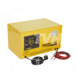 Incarcator de baterii RX 24V 40A Multimarca