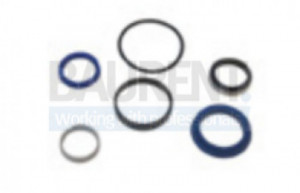 Kit etansare cilindru 35x60 mm lift hidraulic DHOLLANDIA