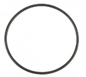 Oring pompă injecție Manitou 563758 - Img 1