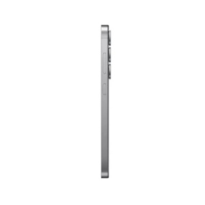 Mobilni telefon Samsung Galaxy S25 12/256 5G silver