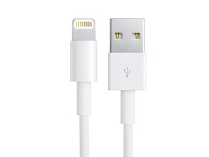 Alpha Star Kabl IPHONE USB-2M,lightning muški,beli