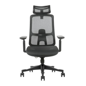 Ergonomska kancelarijska stolica UGD Task Master Mesh