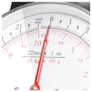 HAEGER KS-10S.014A MEHANIČKA KUHINJSKA VAGA SA POSUDOM 10KG INOX - Img 2
