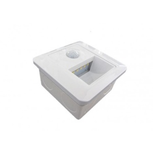 LED SVETILJKA L6660-20 ZIDNA 2W 4000K SENZOR BELA
