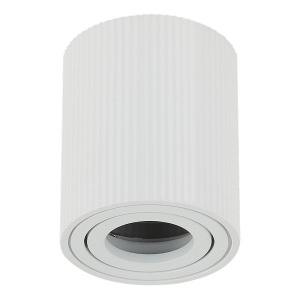 Plafonska lampa AFS118-1C WH