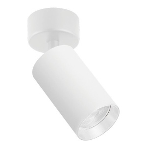 Plafonska lampa AFS121-1C WH