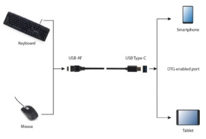 A-OTG-CMAF3-01 USB 3.0 OTG Type-C adapter cable - Img 2