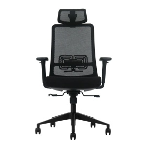 Ergonomska kancelarijska stolica UGD LumbarMax