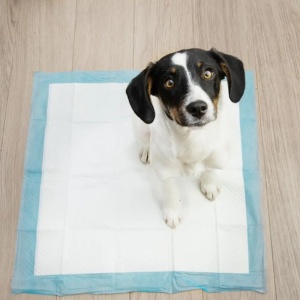 Purlov Higijenska podloga pelena za ljubimce 60x60cm 50kom - Img 3