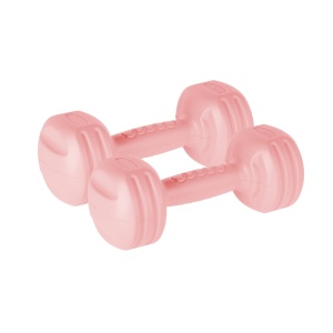 REBEL ACTIVE Bitumenske bučice za fitnes par 2x1.5kg RBA-2306