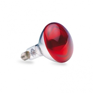 SIJALICA INFRA RED R125 250W E27 (CRVENA) ELF4835 - Img 2