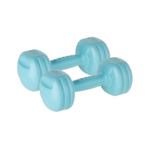 REBEL ACTIVE Bitumenske bučice za fitnes par 2x2kg RBA-2307