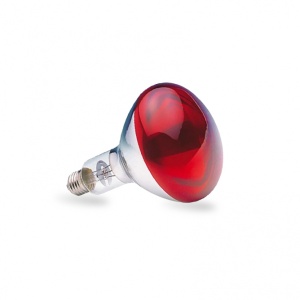 SIJALICA INFRA RED R125 150W E27 (CRVENA) ELF4834 - Img 2
