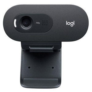Web camera Logitech C505e 960-001372 - Img 2