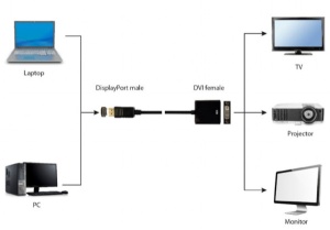 A-DPM-DVIF-002 Gembird DisplayPort to DVI adapter cable, black