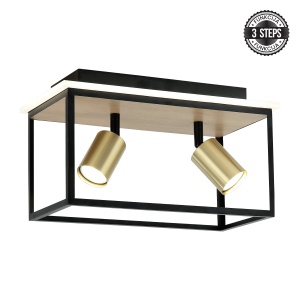 LED plafonska lampa FG152-2 BK+WD - Img 3