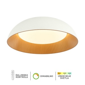 LED plafonska lampa FK2005-66C WH