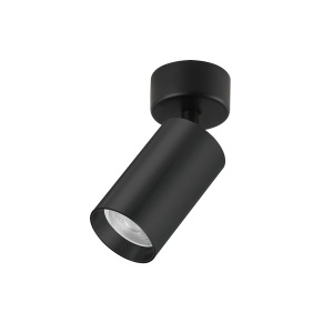 Plafonska lampa AFS121-1C BK - Img 2