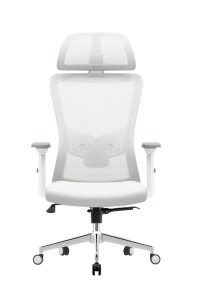 Ergonomska kancelarijska stolica UGD Silver Polare - Img 4