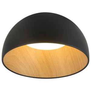 LED plafonjera FK2001-36P BK - Img 2