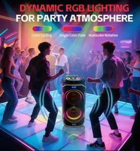 Microlab PT1000PRO karaoke zvucnik 500W,Bluetooth, LED,21700/11.1V/10500 mAh,TSW,AUX,FM,USB/TF+Mik - Img 3