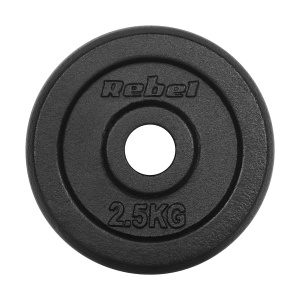 REBEL ACTIVE Liveni gvozdeni tegovi klasične ploče set 4x2.5kg / 31mm RBA-2127 - Img 3