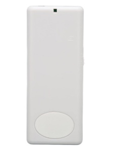 MP3 Player 301 32GB beli
