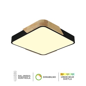 Plafonska lampa F2812-20C BK+WD