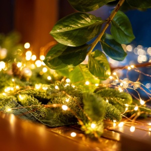 Lampice za jelku sa 30 toplo belih LED dioda - Img 1