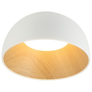 LED plafonjera FK2001-36P WH - Img 2