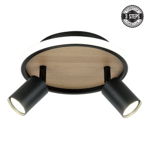 LED plafonska lampa FG150-2 BK+WD