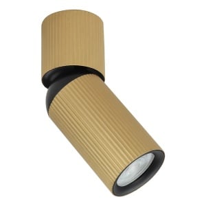 Plafonska lampa AFS117-1C SG
