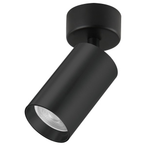 Plafonska lampa AFS121-1C BK - Img 3