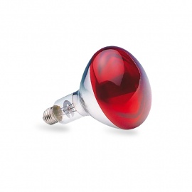 SIJALICA INFRA RED R125 250W E27 (CRVENA) ELF4835 - Img 4