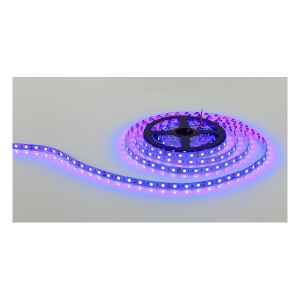 LED traka LTB5050-60-B IP20 BL - Img 2