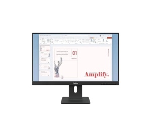 Monitor 24 Lenovo E24-40 1920x1080/IPS Full HD/100Hz/4ms/VGA/HDMI/DP/Pivot