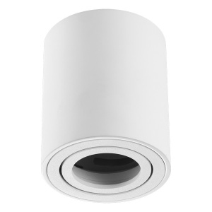 Plafonska lampa AFS114-1C WH