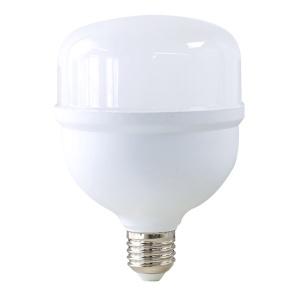 XLED E27 30W 6500K T100 LED Sijalica,RA80,220V,Hladno Bela