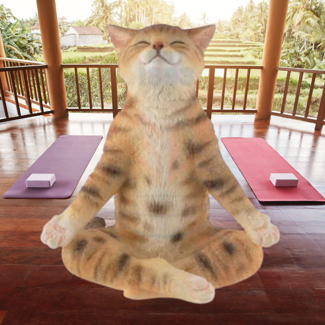 statueta cu pisicuta tarcata facand yoga