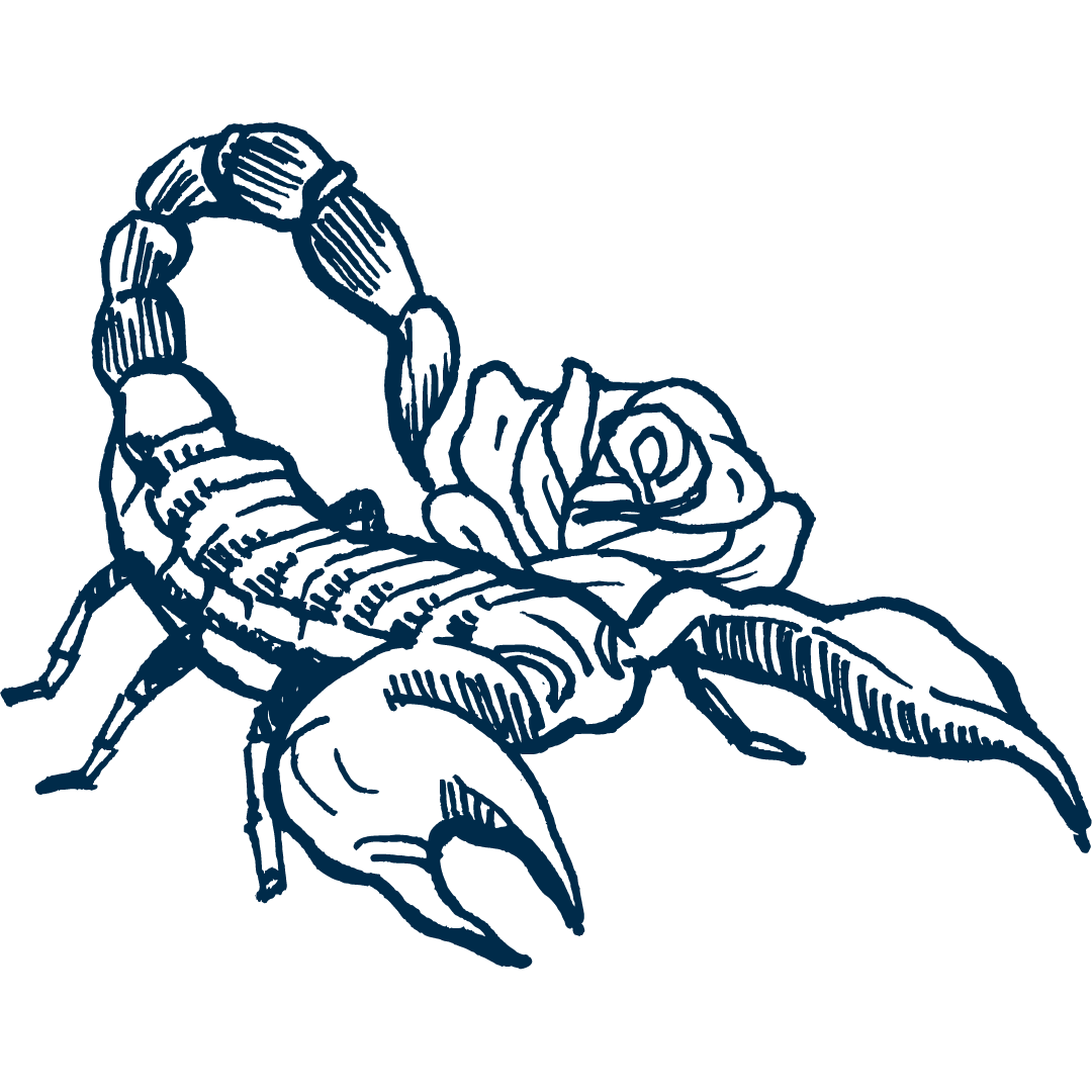 Cadouri pentru zodia Scorpion