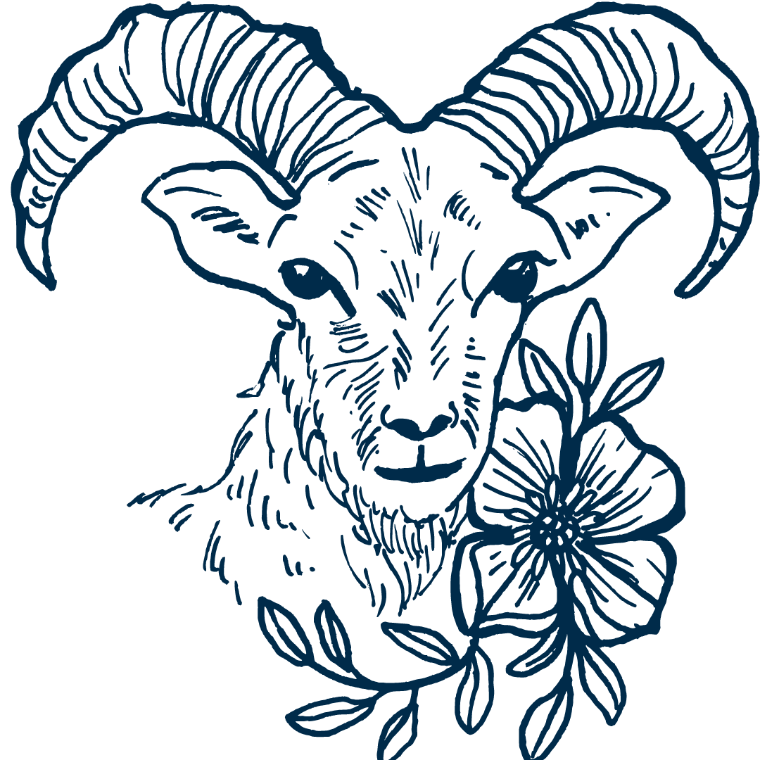Cadouri pentru zodia Capricorn