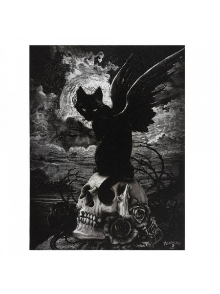 Tablou canvas pisicuta neagra pe craniu Cele noua veti ale lui Poe 19x25cm