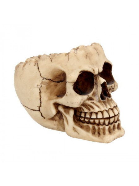 Scrumiera craniu Lobo 15 cm