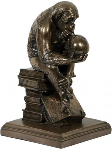 Statueta finisaj bronz Maimuta - Studiul Teoriei Evolutiei