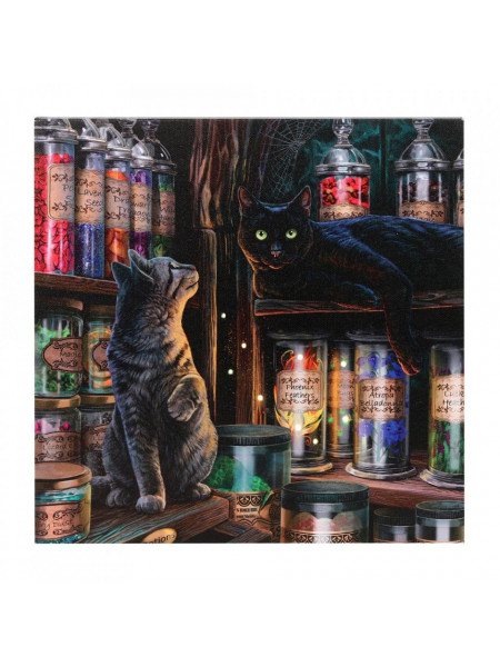 Tablou canvas cu led Magical Emporium - Lisa Parker, 30x30cm