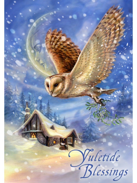 Felicitare Craciun cu bufnita Yuletide Blessings