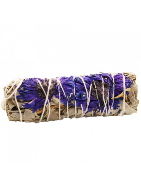 Manunchi de Salvie Alba pentru fumigatii - Purple Daze 10cm